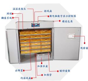 Incubateur automatique 1056 de haute qualité équipement d'élevage de volaille poulet canard oie <span class=keywords><strong>paon</strong></span> autruche dinde incubateur - Product Image 3