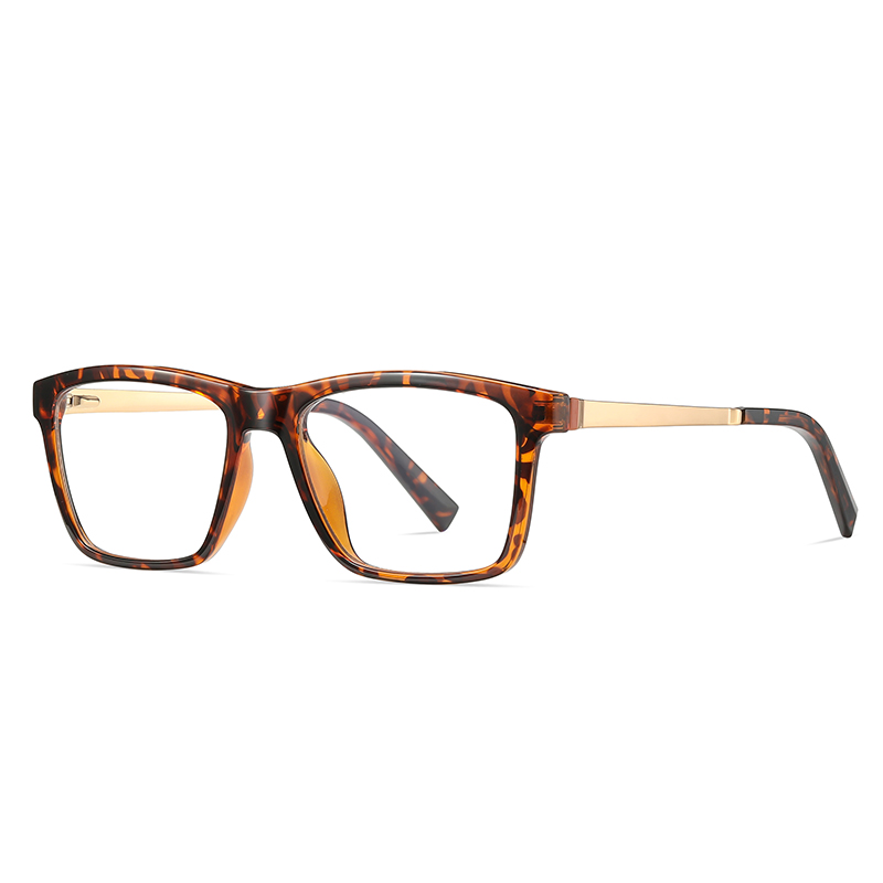C2 Tortoiseshell