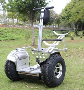 19 אינץ חכם אינטליגנטי Offroad מרכבה חשמלית רחף לוח גולף E עצמי איזון קטנוע