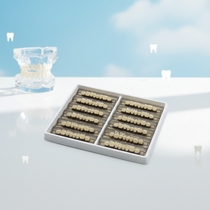 ZUNCHI Usine OEM Résine acrylique composite <span class=keywords><strong>dentaire</strong></span> super dure 23HU32 Dents artificielles pour prothèse <span class=keywords><strong>dentaire</strong></span> - Product Image 2