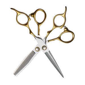 Hairdressing Scissors Set 6 Inch 9cr13 Stainless Steel Thinning Shears Professional Hair Cutting Tools - Product Image 1