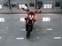 Motocyclette Benelli TNT 300 d'occasion, 300cc, tout-terrain/sportive, quatre temps, vitesse maximale >80 km/h, fournisseur en gros, export