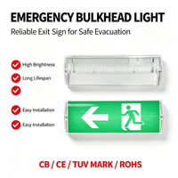 Luz de Emergencia LED con Logotipo del Ministerio del Transporte, con 3 Horas de Funcionamiento, Resistente al Fuego y Eléctricamente Resistente