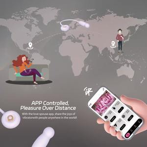Vibratore per Donne con Funzione di Spinta e Riscaldamento, Pallina dell'Amore con Telecomando, Potente Vibratore da Superficie con Giocattoli Sessuali - Product Image 5