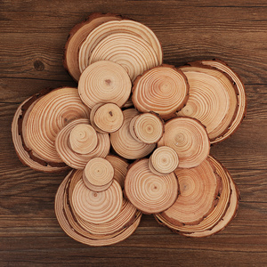 Sous-verres ronds en bois naturel avec écorce pour projets de bricolage et décoration artisanale - Product Image 5