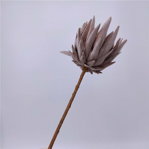 <span class=keywords><strong>Protea</strong></span> Cynaroides ดอกไม้ราชาโพรโทไรด์,อุปกรณ์ตกแต่งงานแต่งงานคริสต์มาส - Product Image 6