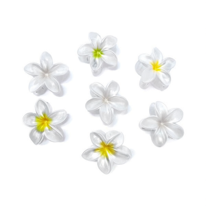 Fermaglio per capelli Frangipani Claw Clip 8 cm color argento per donne e ragazze - Product Image 1