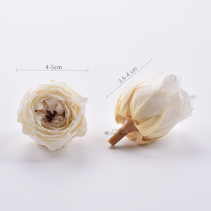 Austin 4-5cm Vente en gros Têtes de roses éternelles décoratives de Noël de haute qualité, préservées, longue durée 3-5 ans - Product Image 3