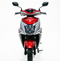 Hot Sale 10 Inch 800W Electric Motorcycle for Adults 2 Wheels Factory Price 60V/72V Powerful 3.00-10 800-1000w Electric Bike