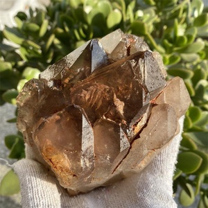 Bán Sỉ Cụm Tinh Thể Thạch Anh Tím Xương Nguyên Bản Tự Nhiên Mẫu Khoáng Thạch Anh Tím Thô Super Seven - Product Image 4