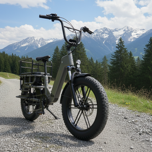 Moto tout-terrain Fatboy <span class=keywords><strong>test</strong></span>ée, vitesse maximale de 25 km/h, pour faire des courses - Product Image 3