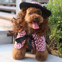 Nouveaux vêtements pour animaux de compagnie en polyester pour chiens : chapeaux, capes, costumes de transformation, style britannique, tenues de fête et de farces