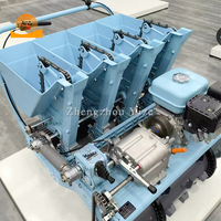 Machine de semence d'ail, 2 rangs, 4 rangs, perceuse de graines d'ail, semoir manuel