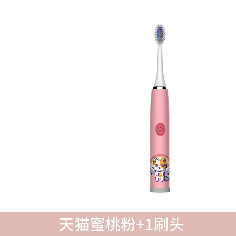 02 batterie de poudre de pêche-1 tête de brosse
