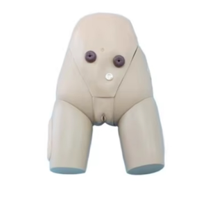 Modèle d'enseignement médical anatomique de haute qualité pour femmes et hommes, destiné à la formation des infirmières en cathétérisme médical. - Product Image 4