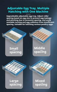 Les incubateurs automatiques rechargent automatiquement l'eau pour maintenir une humidité d'incubation optimale et ajuster les taux d'évaporation. - Product Image 4