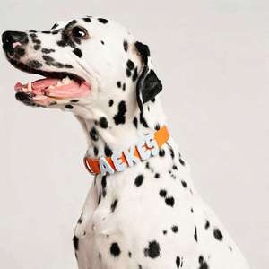 <span class=keywords><strong>Collar</strong></span> de perro personalizado impermeable con dijes, campana para perro, venta al por mayor con correas y dijes de letras de silicona bonitos - Product Image 1