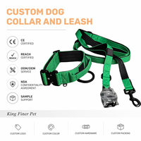 Ensemble collier et laisse tactiques pour chien avec logo personnalisé