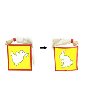 Écharpe en soie magique qui change <span class=keywords><strong>de</strong></span> couleur, <span class=keywords><strong>tour</strong></span> <span class=keywords><strong>de</strong></span> <span class=keywords><strong>magie</strong></span> du lapin au canard, accessoires <span class=keywords><strong>de</strong></span> scène, cadeau - Product Image 2