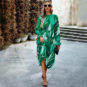 Autunno/inverno abbigliamento donna vacanza abito stampato Casual girocollo abito lungo - Product Image 5