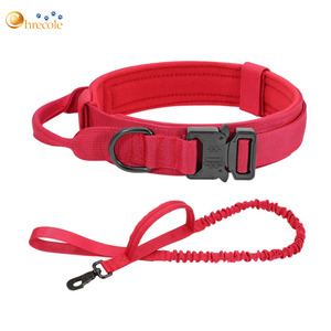 Correas Tácticas Resistentes para Perros, Retráctiles, Personalizadas con Logotipo, Juego de Collar y Correa para Perro - Product Image 3
