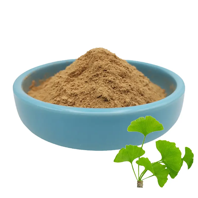Food Supplement Ginkgo Biloba Extract Powder Ginkgolic Acid 5PPM