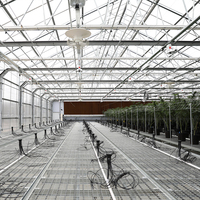 Landbouw Groeiende Enkelspannings Grote Hydroponische Systeem Draadgaas Automatische Roltafels Tafel PE Materiaal Verplaatsbaar Op Maat Gemaakt