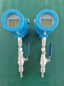 Cung cấp điện kép nhiệt đo lưu lượng chèn loại khối lượng khí nén không khí tùy chỉnh OEM hỗ trợ - Product Image 5