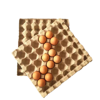 Cartons à œufs vierges en pâte de papier naturelle, supports et emballages pour œufs de poule frais