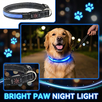 Collier de sécurité pour animaux de compagnie, résistant aux intempéries, réglable, rechargeable par USB, lumineux, collier LED pour chien