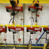 Mini palan électrique à câble métallique 800 kg 220V 110V à vendre