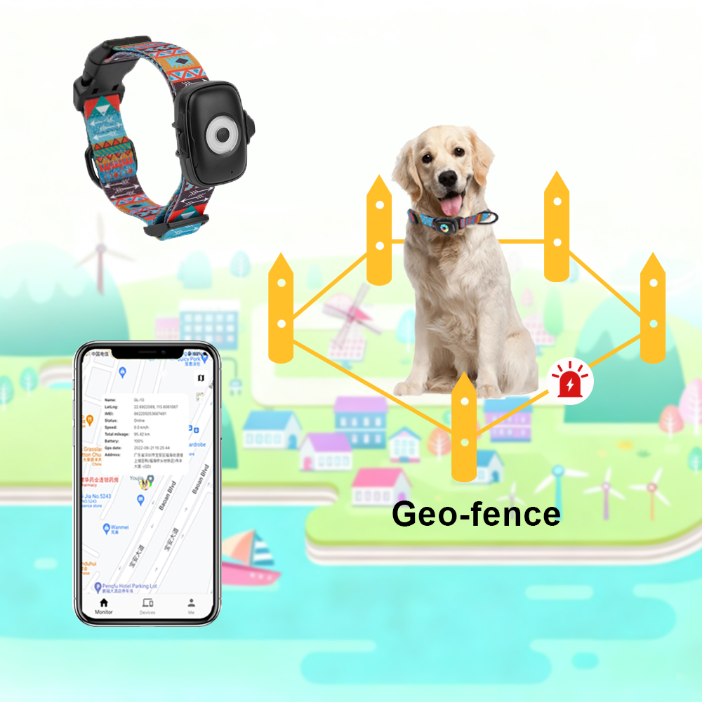 smart pet collar with health monitoring