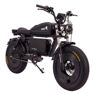Bicicleta Eléctrica Negra de 60V, la Más Popular para Entusiastas del Ciclismo Eléctrico, Bicicleta SK-1 - Product Image 1