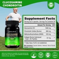 Hoogwaardige Glucosamine Chondroïtine Capsules Gewrichtsverlichting Supplementen Private Label Beschikbaar voor Importeurs en Wereldwijde Verkopers