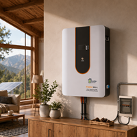 Module de batterie murale LiFePO4 à économie d'espace 51,2 V 100 Ah 5,12 kWh 6000+ cycles, alimentation stable