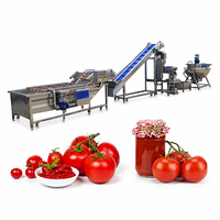 Automatische tomatenverwerkingsmachine, kleine tomatenpuree productielijn, ketchupmachine prijs