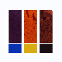 Casher, colorant de qualité alimentaire-NEON Set x 4 unités chaque pot 4 grammes