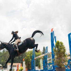 Aochi Factory Horse Horse Jumping portatile in alluminio stand equestre Racing Training Horse Show Jump Wing - Product Image 6