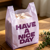 Sac de shopping en plastique semi-transparent violet clair pour cadeaux, imprimé « Have a Nice Day », idéal pour les boîtes cadeaux de fêtes
