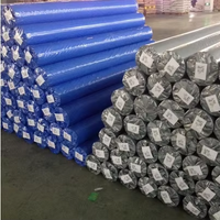 Bâche bâche en plastique bâche PE avec bâche PE robuste enduite