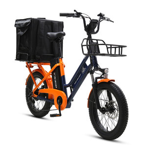 Vélo cargo électrique à deux roues TXED Premium, moteur 48V 500W, cadre haute résistance, vélo de livraison fiable toutes saisons, urbain - Product Image 2