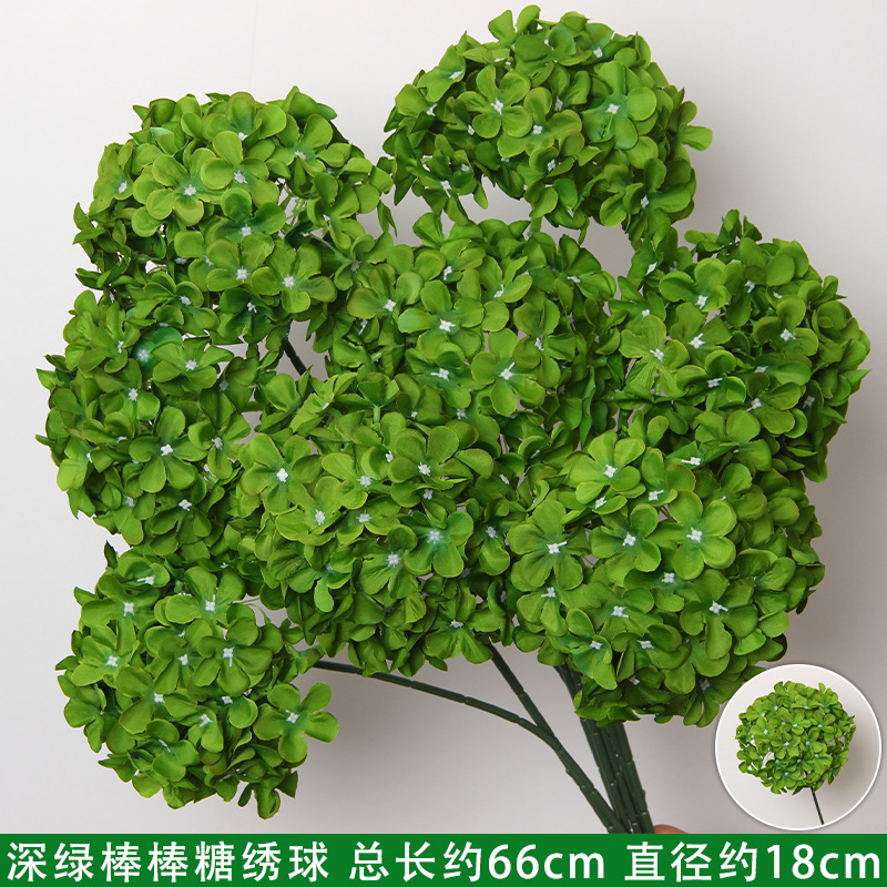 Branche d'hortensia sucette vert foncé