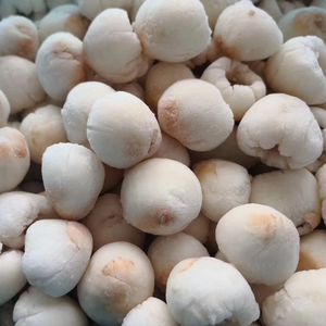 Pulpa de lichi congelada natural de primera calidad 100% Fruta tropical exótica de congelación rápida con aroma dulce y floral similar al mango y plátano - Product Image 2