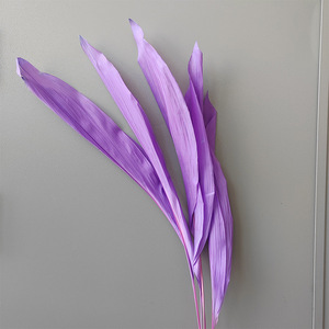 Decoración <span class=keywords><strong>de</strong></span> boda para el hogar Flores secas Blanqueadas Blanco Eterno Conservado Orquídea Manojo <span class=keywords><strong>de</strong></span> <span class=keywords><strong>hojas</strong></span> <span class=keywords><strong>de</strong></span> <span class=keywords><strong>Magnolia</strong></span> secas - Product Image 2