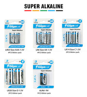 Piles super alcalines 6LR61, source d'alimentation portable, pile 9V pour alarme/télécommande, jouet