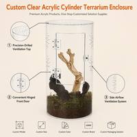 Terrarium cylindrique en acrylique transparent sur mesure pour insectes, reptiles, papillons, cage de présentation de plantes transparente