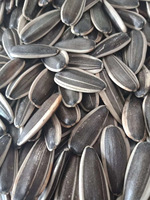 Bon 361 graines de tournesol Chine