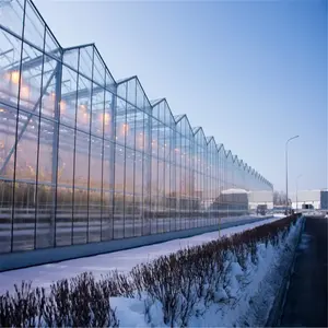 Projet clé en main de serre agricole en verre complet avec construction rapide