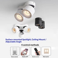 Luminaire COB moderne et minimaliste pour restaurant, pliable, double tête, à montage en surface, source lumineuse à CRI 90, 360° °   Downlight à cardan rotatif