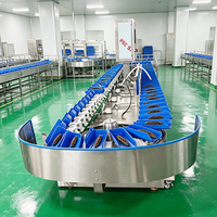 Rotatie-schijf weegsorteermachine met PLC-besturing, fruit-, groente- en visweegsorteerder voor oesters, garnalen, kippenpootjes en noten